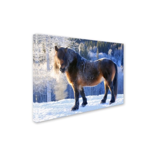 AnnicaWesterlund 'King Of The Valley' Canvas Art,14x19